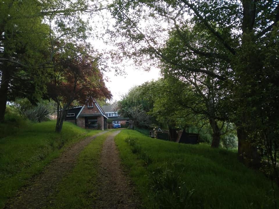 Arden Country House Bnb - Entire House To Yourself -Peace In The Country Dunedin Eksteriør billede