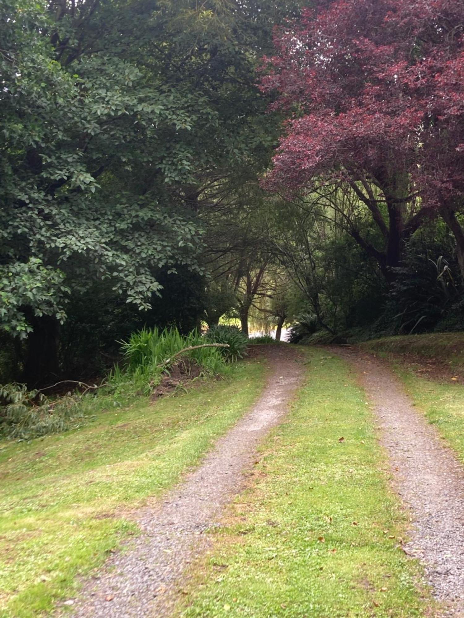 Arden Country House Bnb - Entire House To Yourself -Peace In The Country Dunedin Eksteriør billede
